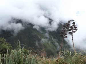 Inca Jungle Trek Peru