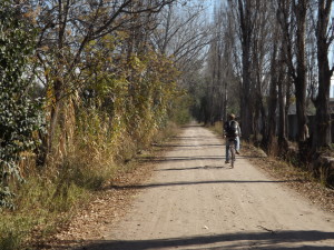 Bikes and Wine, Mendoza