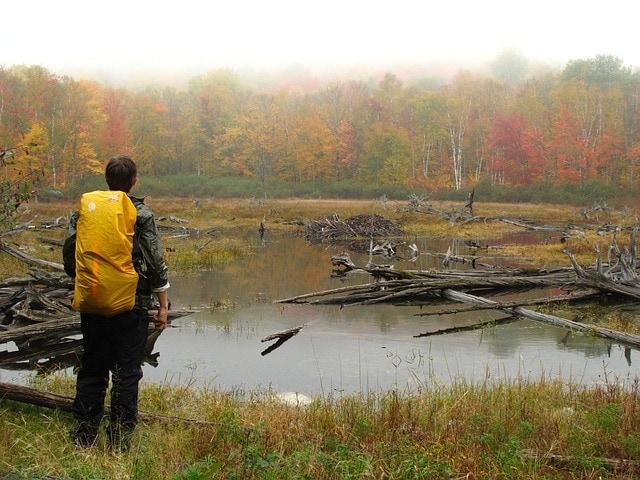 backpack, hike, lake, forest