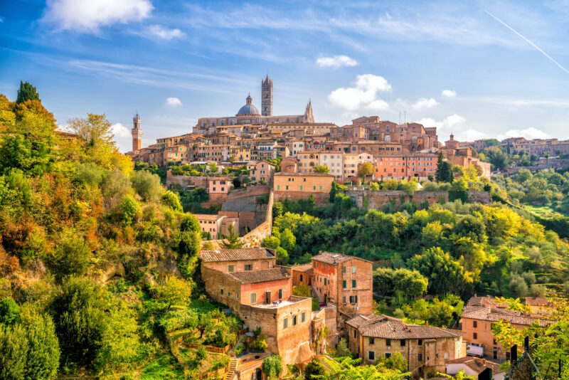 Downtown Siena skyline in Italy with blue sky, the town is laid out over the top of a hillside with clustered brown and orange buildings and a tower at the top, all surrounded by dense green foliage. 