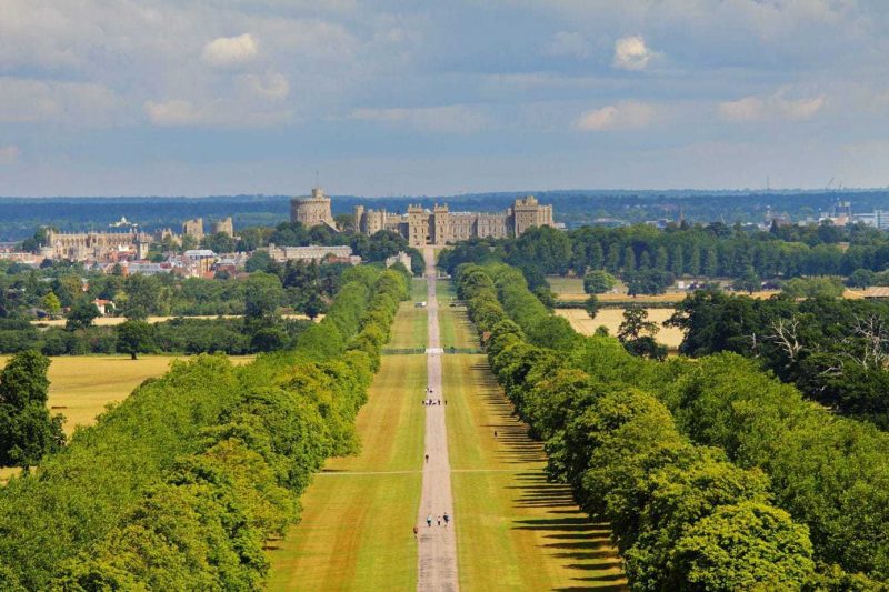 Aerial view of a long path in a park with a row of trees eithe rside leading up to Windsor Castle, a large grey stone castle with round towers on either side