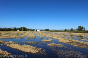 Beyond Barcelona: Exploring Catalunya by Bike