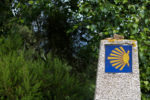 stone post with a blue tile with a yellow shell logo on it to mark the camino santiago walking route - there are green bushes behind