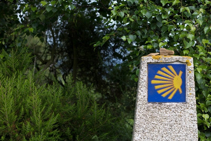 stone post with a blue tile with a yellow shell logo on it to mark the camino santiago walking route - there are green bushes behind