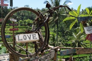 Ubud Travel Guide