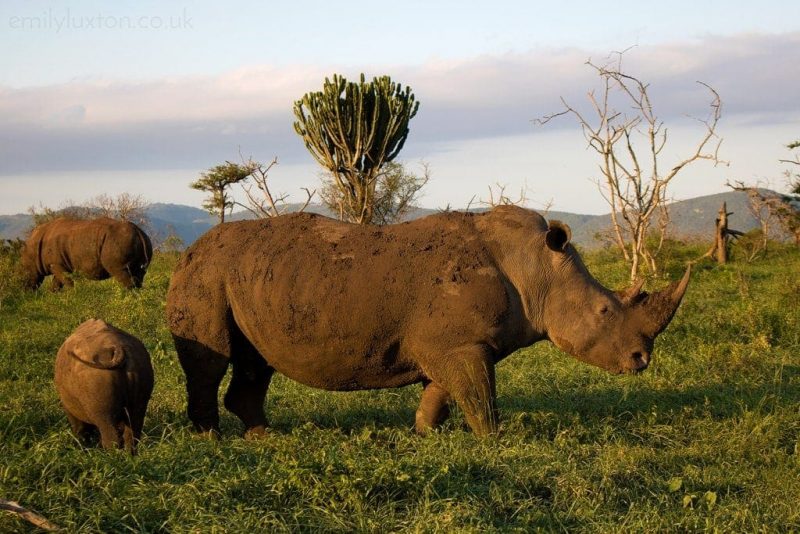 © Thanda Private Game Reserve