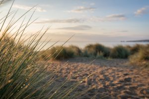 20 of the Best Dorset Beaches - A Local's Guide