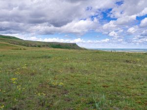 Head Smashed in Buffalo Jump - Blackfoot History and Culture in Alberta