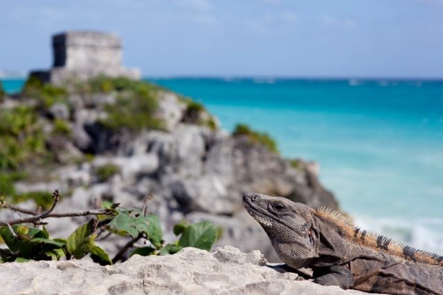 Tulum day trip from Cancun