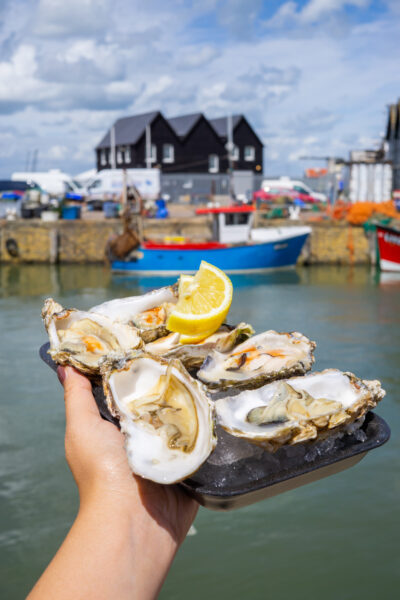 A white human hand holds a tray of fresh oysters with a lemon wedge, against the backdrop of a harbor with colorful boats and buildings.