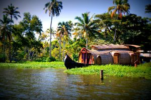 Unique experiences in Kerala