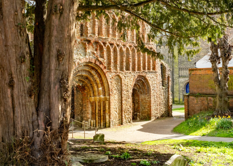 Historic priory ruins of St Botolph in Colchester, buiilt from crumbling orange stone with a row of arched windows above the arched doorway. there is a large tree in the foreground