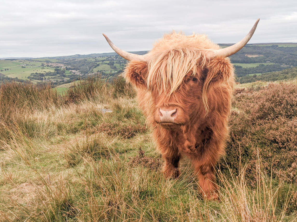 23 of the Best Destinations to Enjoy England in Autumn