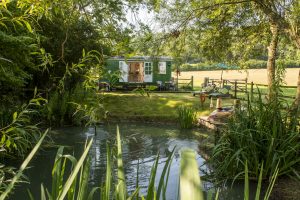 Lady's Well Shepherd's Hut Glamping Somerset