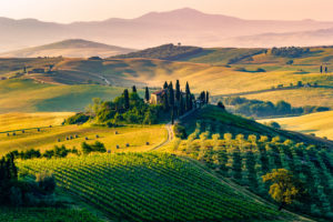 view of a green countryside landscape in Tuscany with a green hill topped with cedar trees and mountains in the distance behind hazy clouds