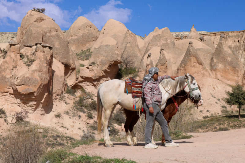 Turkish man wearing jeans, a stripey jumper and a blue headscarf standing next to two horses, one white one brown, in front of several sandy coloured conical rock stacks in cappadocia with blue sky overhead