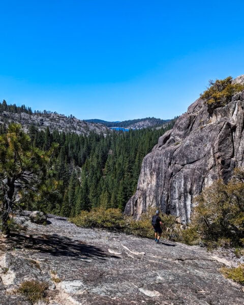vista do topo de um grande penhasco de granito de uma grande floresta de pinheiros ao lado de um pico rochoso cinza sob um céu azul claro