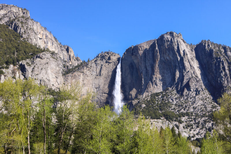 large granite peak with a tall waterfall plummeting down one side and a small green forest in front under clear blue sky in Yosemite National Park