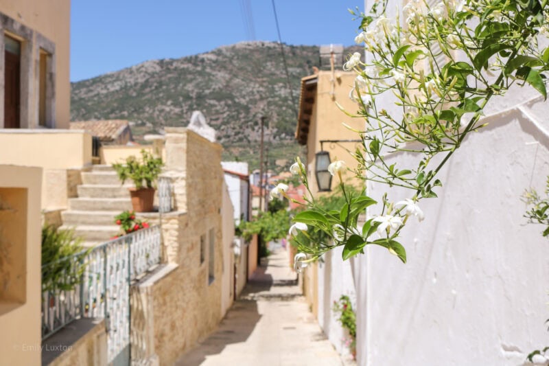 narrow street in a village in Crete, there is a white wall in the foreground on the right with a trailing plant with lots of small white flowers, behind that the yellow buildings lining the alley are out of focus and there is a green hill visible at the far end.