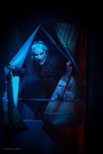 actor in costume as an evil looking wich with white face and white curly hair, leaning out of a window between curtains