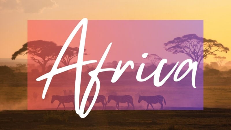 Africa written in white text over an opaque pink box on top of a photo of a savannah at sunset with a clear golden sky and a line of zebra silhouetted against the light.