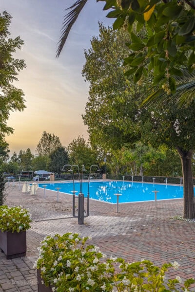 rectangular outdoor swimming pool with red stone tiles around it surrounded by green leafy trees with some small shrubs in the foreground with white flowers. It is just after sunset with a golden glow in the sky overhead. 