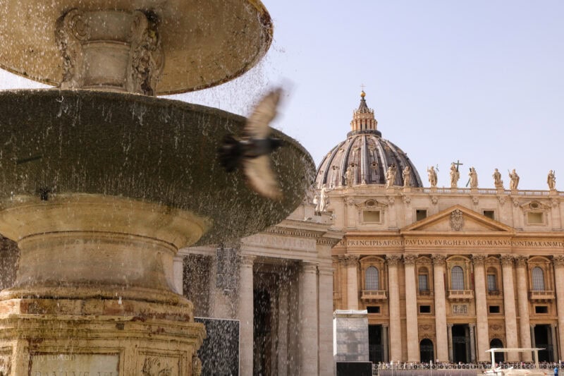 blurred pigeon flying in front of a beige stone fountain with the exterior of St Peter's Basilica behind it, there are several pillars along the facade of the basilica and a grey dome on top. 