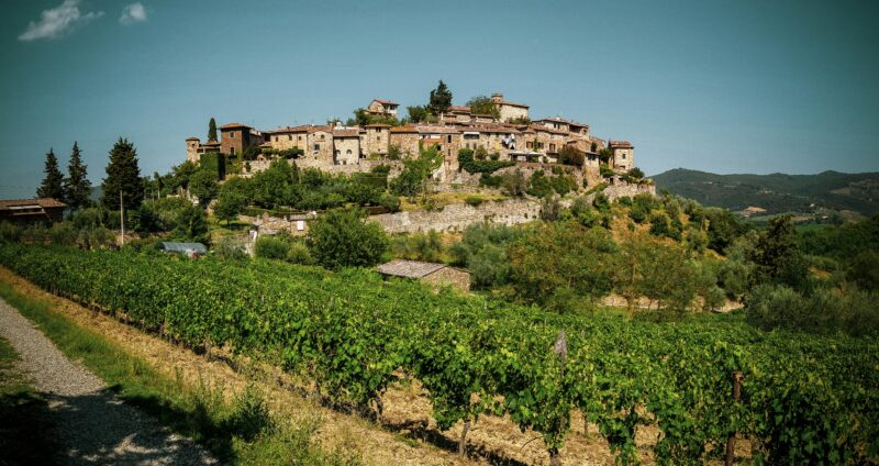 Small village of beige stone houses on a hilltop surrounded by vineyards